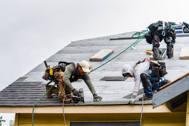 Professional Roof Replacement technician working in Shelby, MT